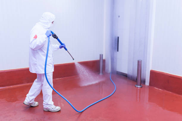 Best Parking Lot Cleaning in La Homa, TX