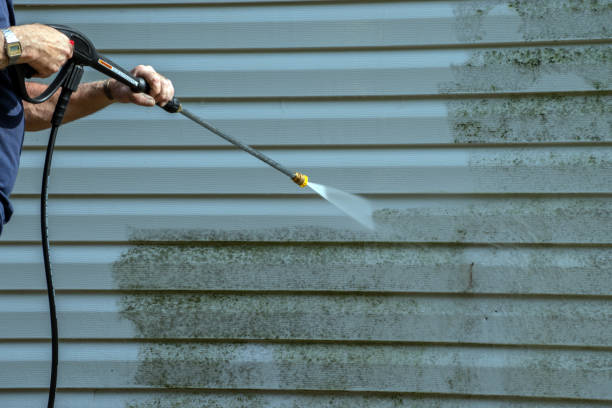 Best Brick and Stone Cleaning in La Homa, TX