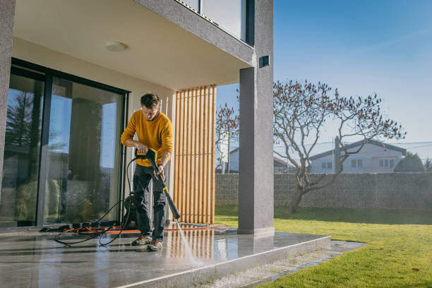 Best Graffiti Removal Services in La Homa, TX