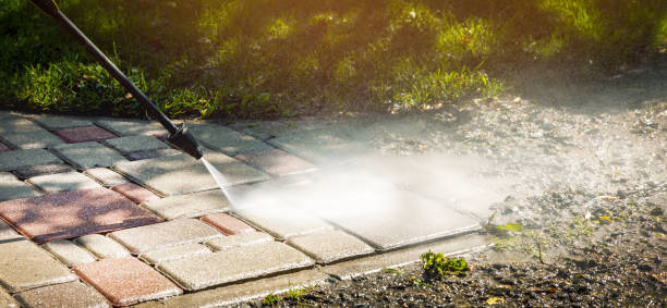 Best Commercial Pressure Washing in La Homa, TX