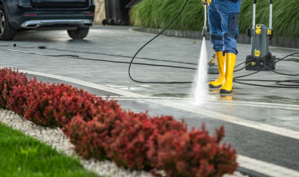 Best Pool Deck Cleaning in La Homa, TX