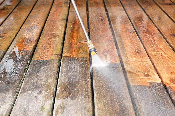 Best Gutter Cleaning and Brightening in La Homa, TX